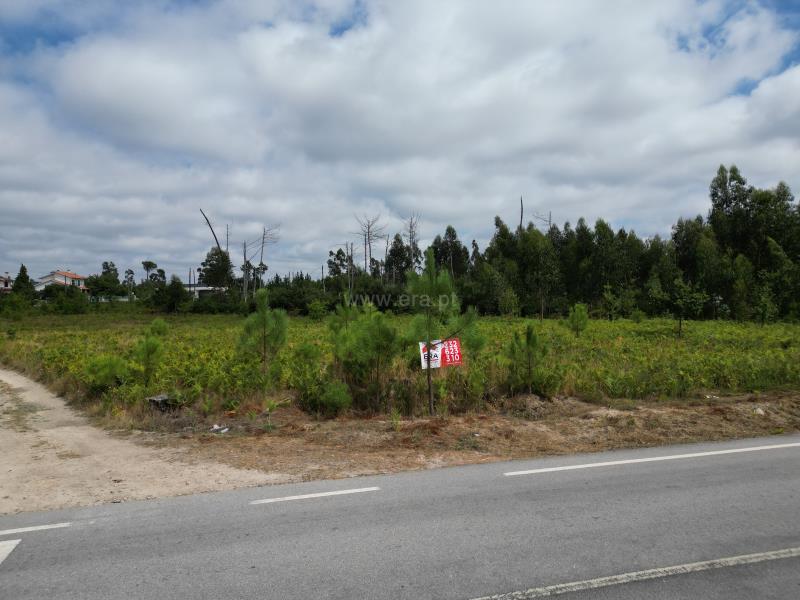 Terreno para Construção T-2 Mangualde, - 1345127 - 5