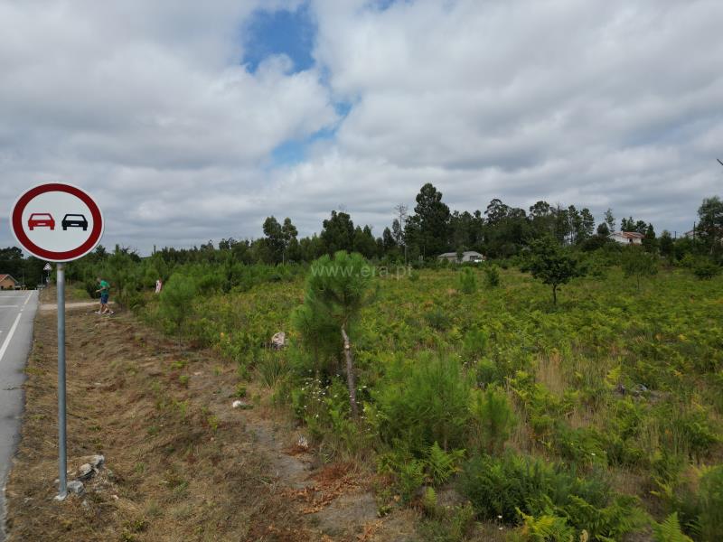 Terreno para Construção T-2 Mangualde, - 1345127 - 6