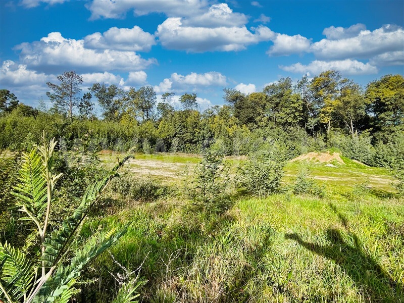 Terreno para Construção  Mangualde, Mangualde, Mesquitela e Cunha Alta - 1381176 - 3
