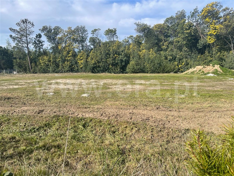 Terreno para Construção  Mangualde, Mangualde, Mesquitela e Cunha Alta - 1381176 - 9