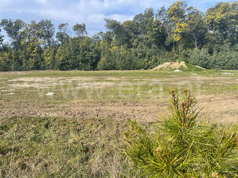 Terreno para Construção  Mangualde, Mangualde, Mesquitela e Cunha Alta - 1381176 - 11