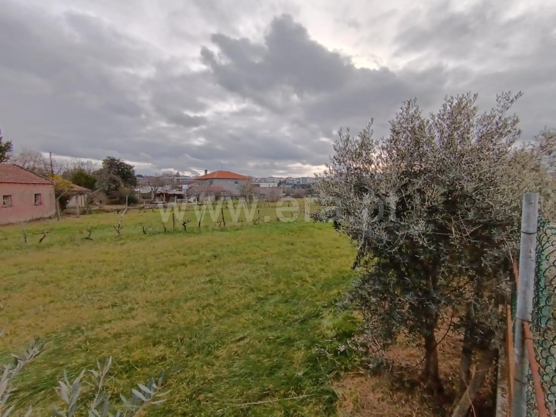 Land for sale in Mangualde, Portugal — €270,000