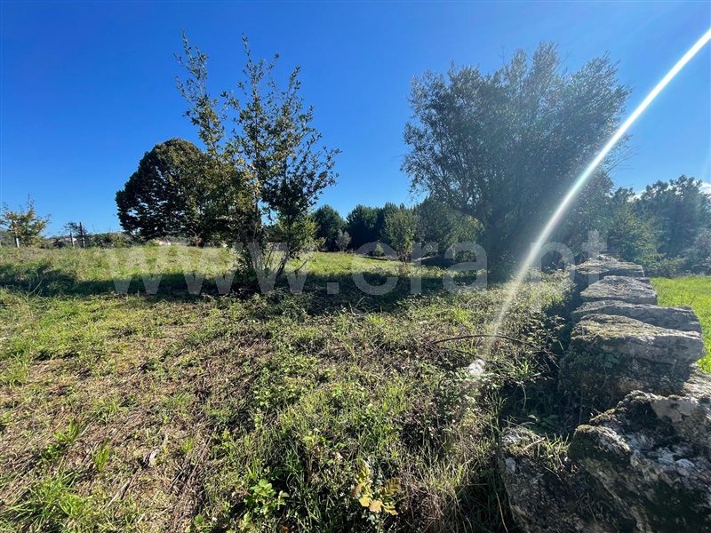 Terreno para Construção / Mangualde, Santiago de Cassurrães e Póvoa de Cervães