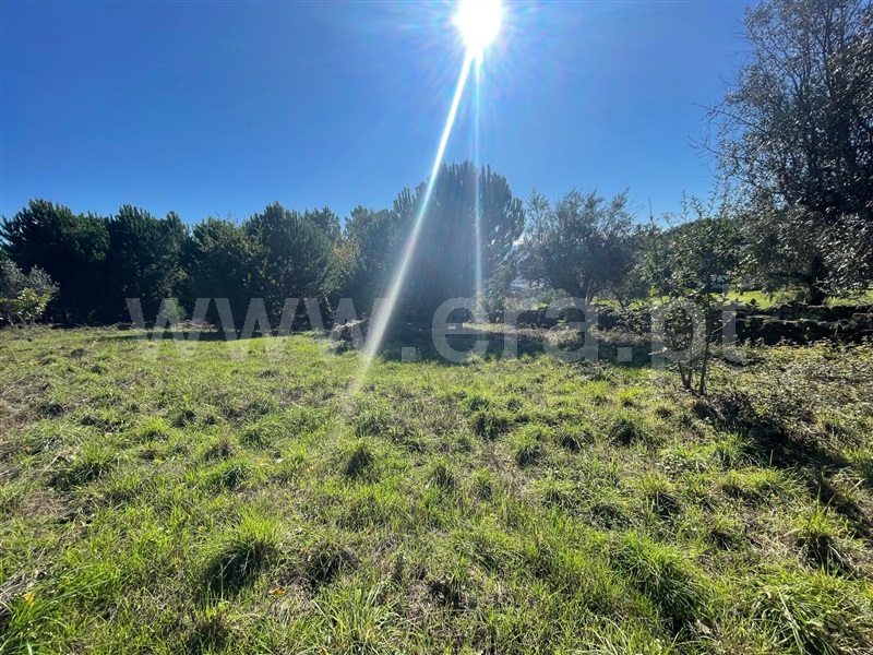Terreno para Construção  Mangualde, Santiago de Cassurrães e Póvoa de Cervães - 1440081 - 3