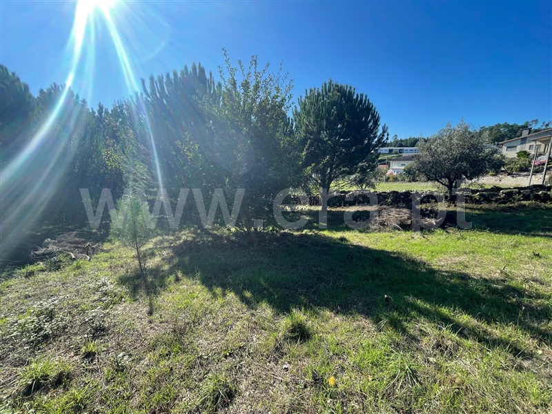 Terreno para Construção  Mangualde, Santiago de Cassurrães e Póvoa de Cervães - 1440081 - 4