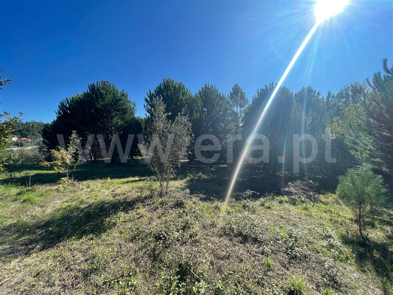 Terreno para Construção  Mangualde, Santiago de Cassurrães e Póvoa de Cervães - 1440081 - 5
