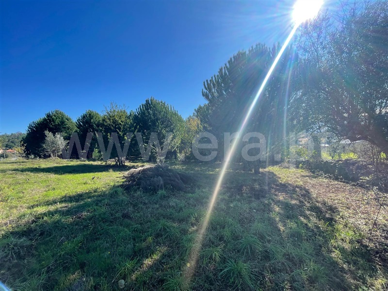 Terreno para Construção  Mangualde, Santiago de Cassurrães e Póvoa de Cervães - 1440081 - 6