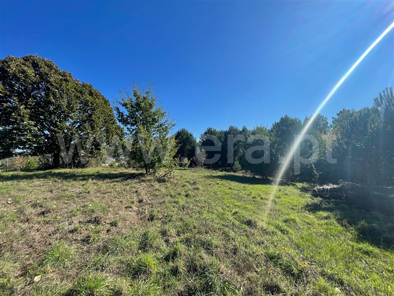 Terreno para Construção  Mangualde, Santiago de Cassurrães e Póvoa de Cervães - 1440081 - 7