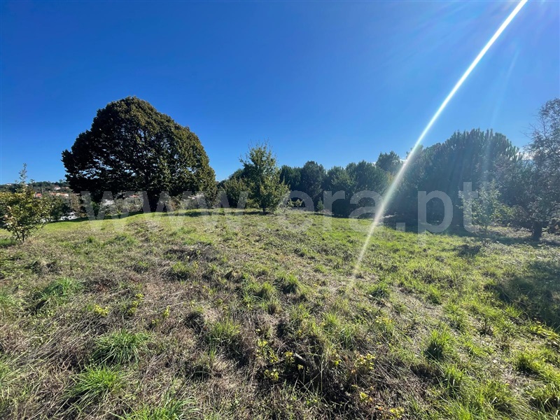 Terreno para Construção  Mangualde, Santiago de Cassurrães e Póvoa de Cervães - 1440081 - 8