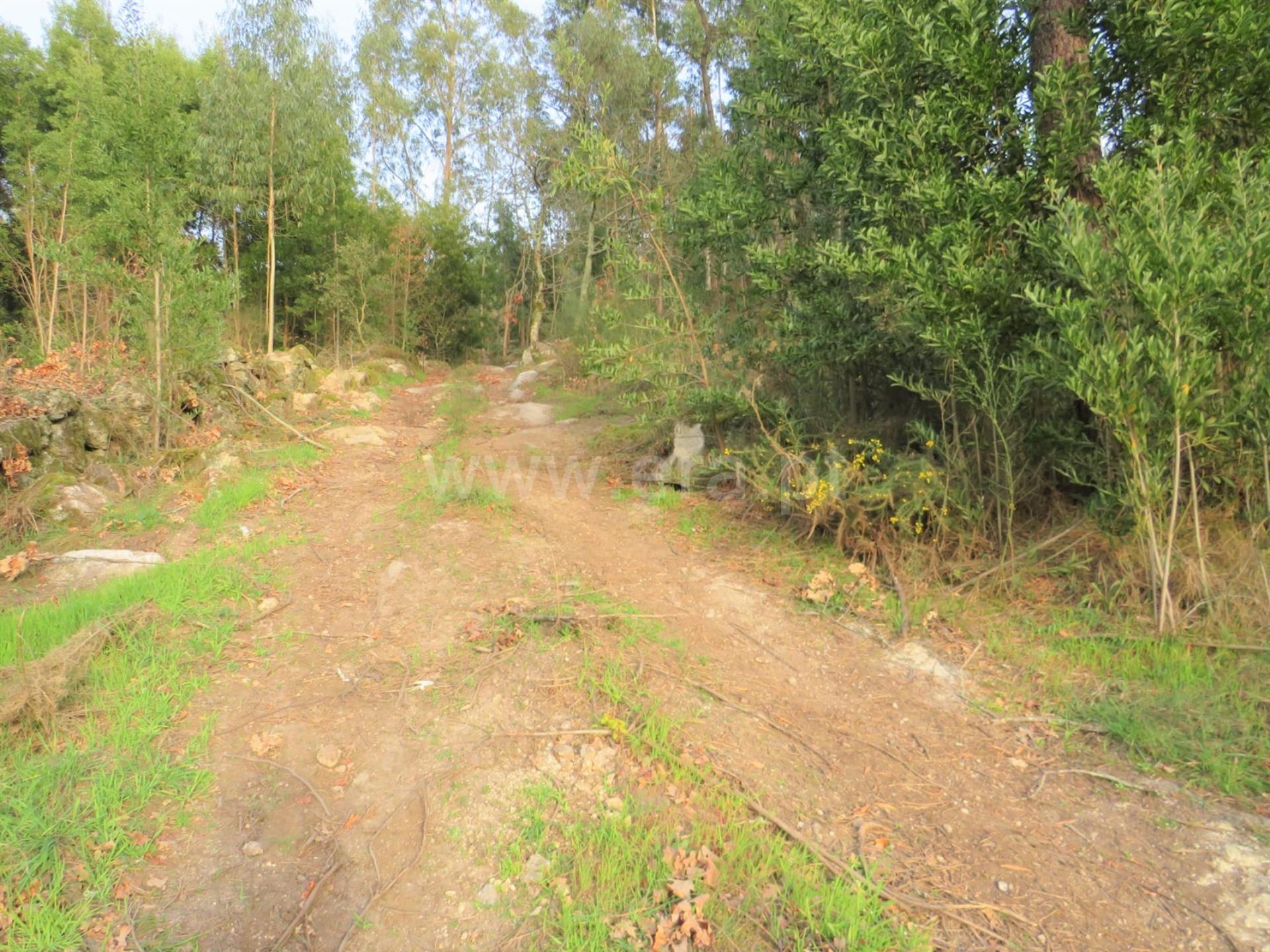 Land for sale in Marco de Canaveses, Portugal — €58,000