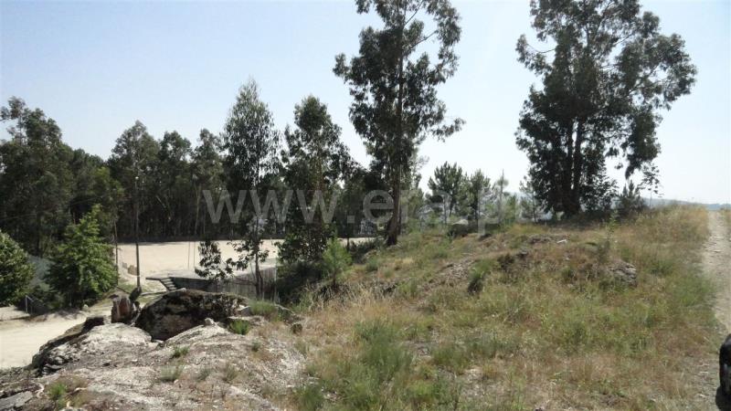 Terreno para Construção  Marco de Canaveses, Banho e Carvalhosa - 830345 - 2