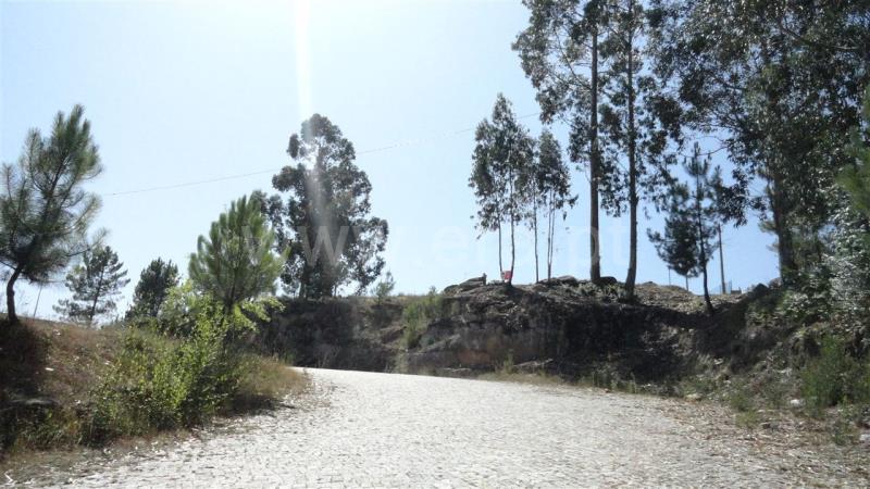 Terreno para Construção / Marco de Canaveses, Banho e Carvalhosa
