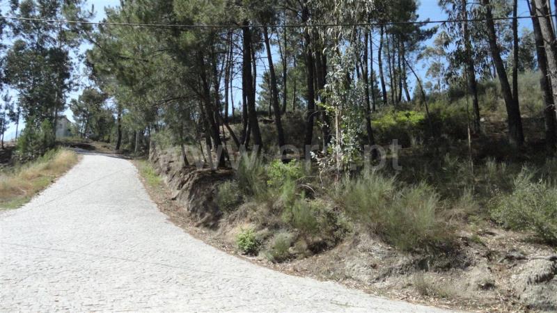 Terreno para Construção / Marco de Canaveses, Banho e Carvalhosa