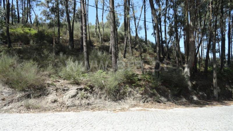 Terreno para Construção  Marco de Canaveses, Banho e Carvalhosa - 833721 - 3