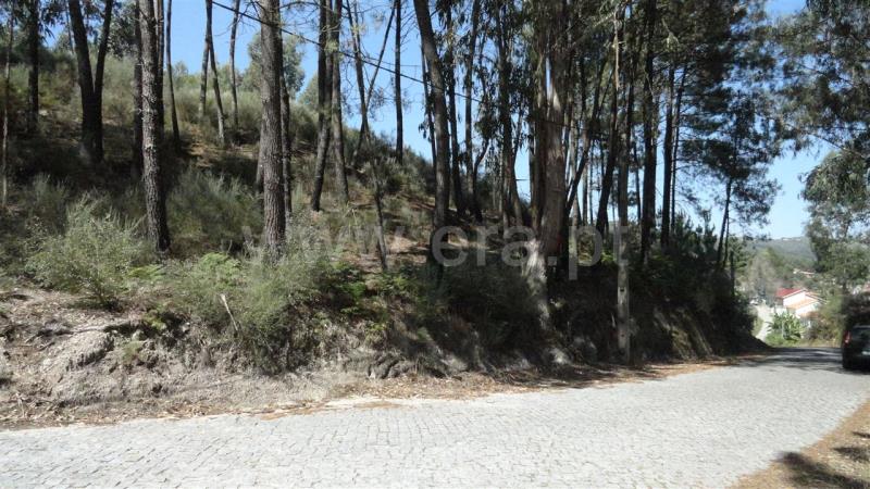 Terreno para Construção  Marco de Canaveses, Banho e Carvalhosa - 833721 - 4