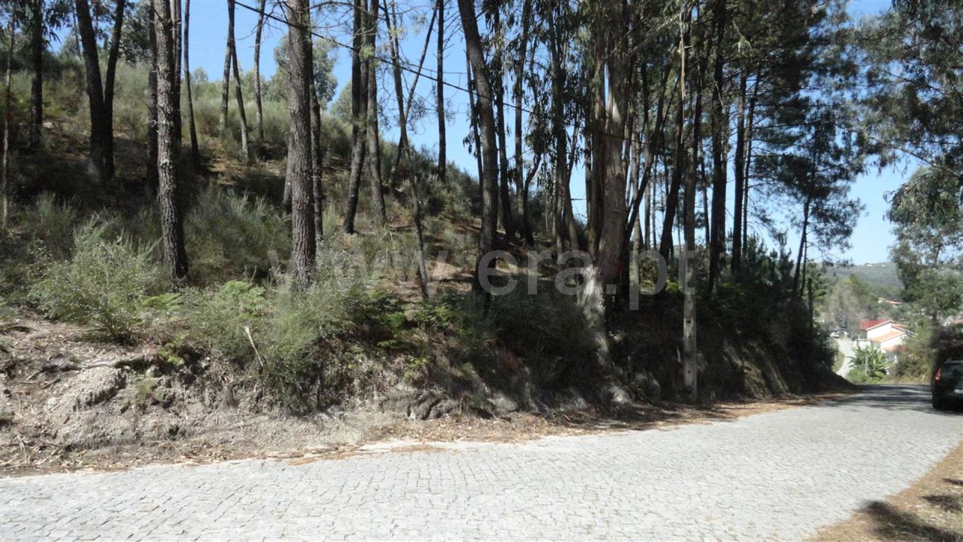 Land for sale in Marco de Canaveses, Portugal — €850,000