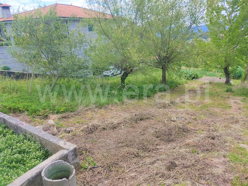 Terreno para Construção  Marco de Canaveses, Penhalonga e Paços de Gaiolo - 1252539 - 3