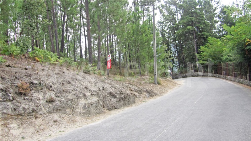 Terreno para Construção  Marco de Canaveses, Várzea, Aliviada e Folhada - 929955 - 1