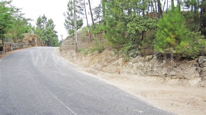 Terreno para Construção / Marco de Canaveses, Várzea, Aliviada e Folhada