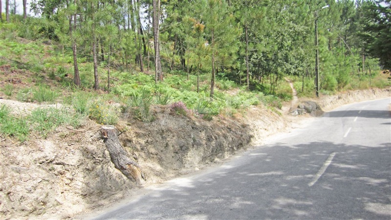 Terreno para Construção  Marco de Canaveses, Várzea, Aliviada e Folhada - 929955 - 4