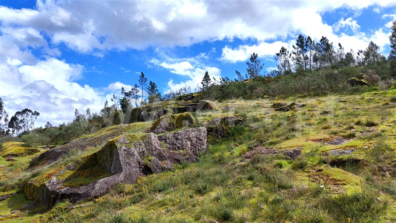 Terreno para Construção / Marco de Canaveses, Vila Boa de Quires e Maureles
