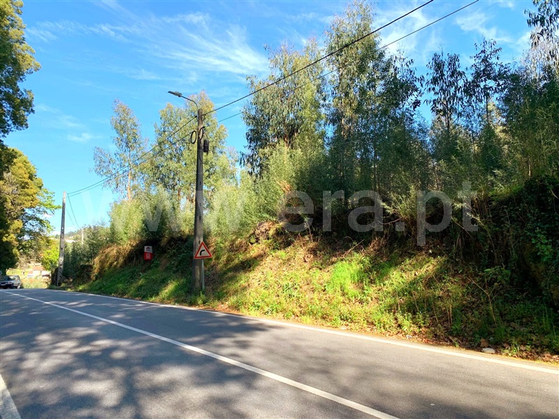 Terreno para Construção  Marco de Canaveses, Vila Boa do Bispo - 1312146 - 3