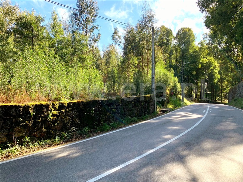 Terreno para Construção  Marco de Canaveses, Vila Boa do Bispo - 1312146 - 6