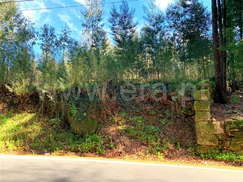 Terreno para Construção  Marco de Canaveses, Vila Boa do Bispo - 1312146 - 8