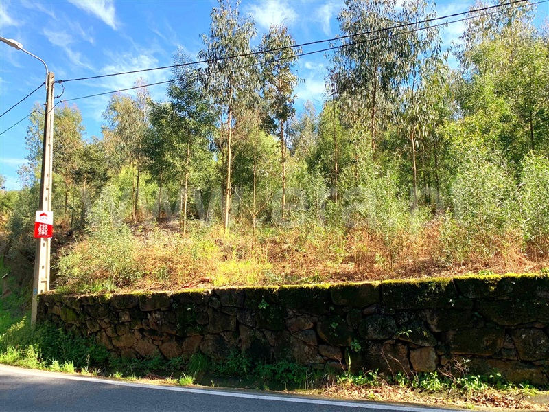 Terreno para Construção  Marco de Canaveses, Vila Boa do Bispo - 1312146 - 9