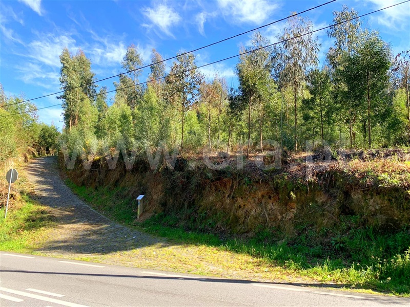 Terreno para Construção  Marco de Canaveses, Vila Boa do Bispo - 1312146 - 14