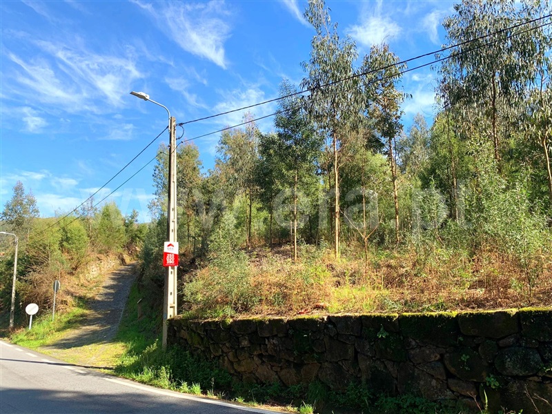 Terreno para Construção  Marco de Canaveses, Vila Boa do Bispo - 1312146 - 15