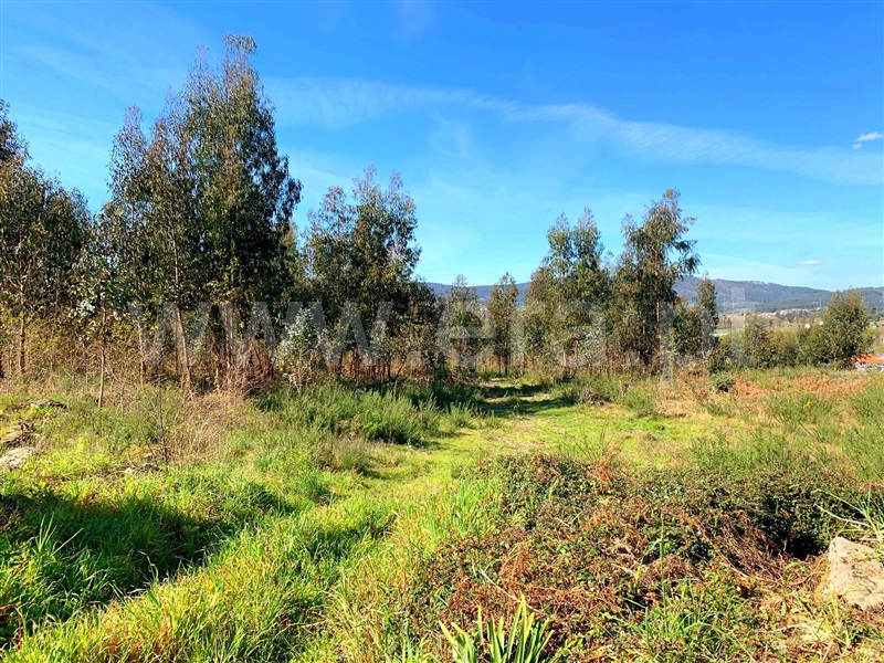 Terreno para Construção  Marco de Canaveses, Vila Boa do Bispo - 1312146 - 15