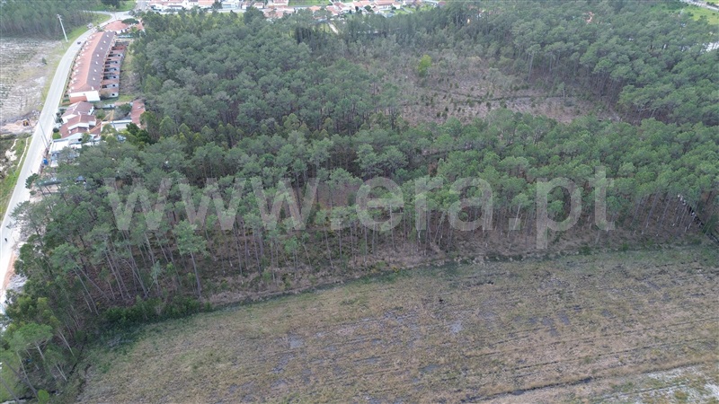 Terreno  Marinha Grande - 1379922 - 4