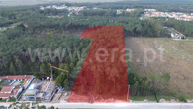 Terreno para Construção / Marinha Grande, Marinha Grande