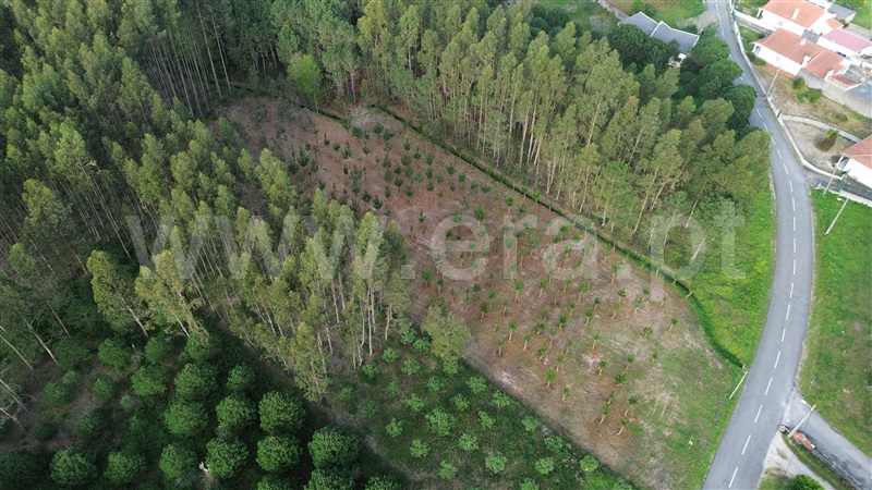 Terreno para Construção  Marinha Grande, Moita - 1378077 - 2