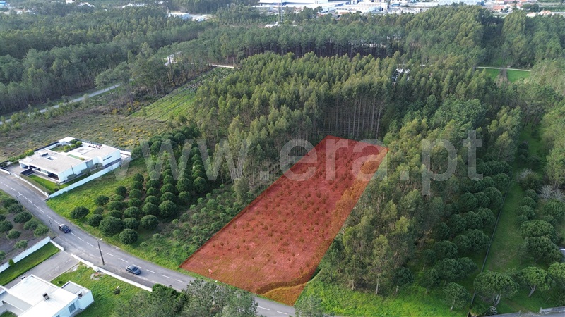 Terreno para Construção / Marinha Grande, Moita
