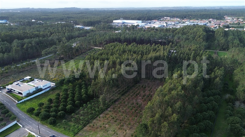 Terreno para Construção  Marinha Grande, Moita - 1378077 - 8