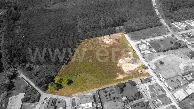 Terreno para Construção / Marinha Grande, Trutas - Vaade 5