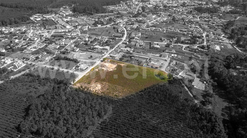 Terreno para Construção / Marinha Grande, Trutas - Veel