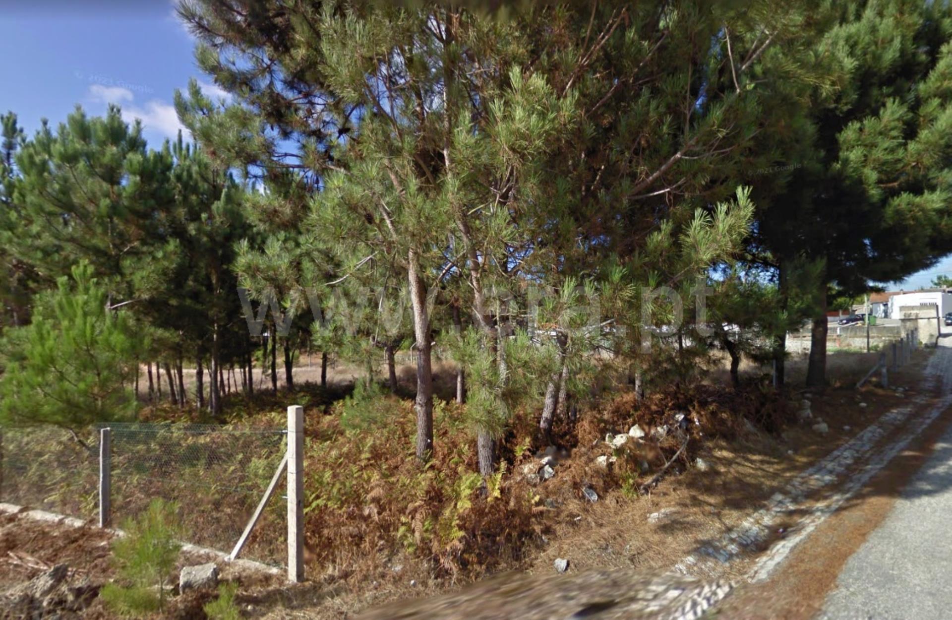 Land for sale in Marinha Grande, Portugal — €65,000