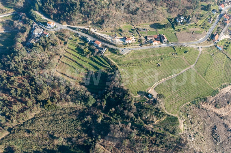 Terreno para Construção  Melgaço, Vila e Roussas - 1384833 - 2