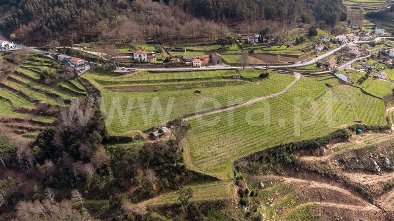 Terreno para Construção  Melgaço, Vila e Roussas - 1384833 - 8