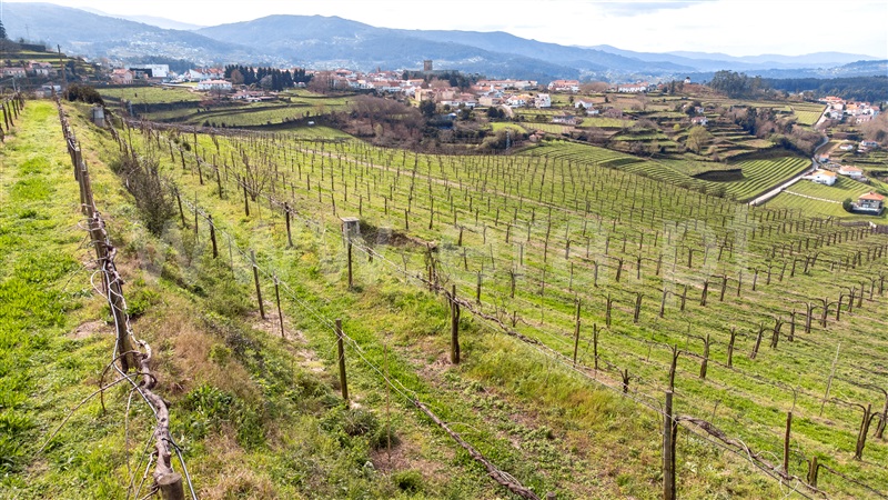 Terreno para Construção  Melgaço, Vila e Roussas - 1384833 - 20