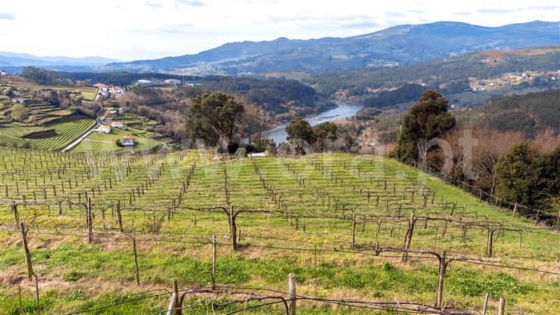 Terreno para Construção / Melgaço, Vila e Roussas