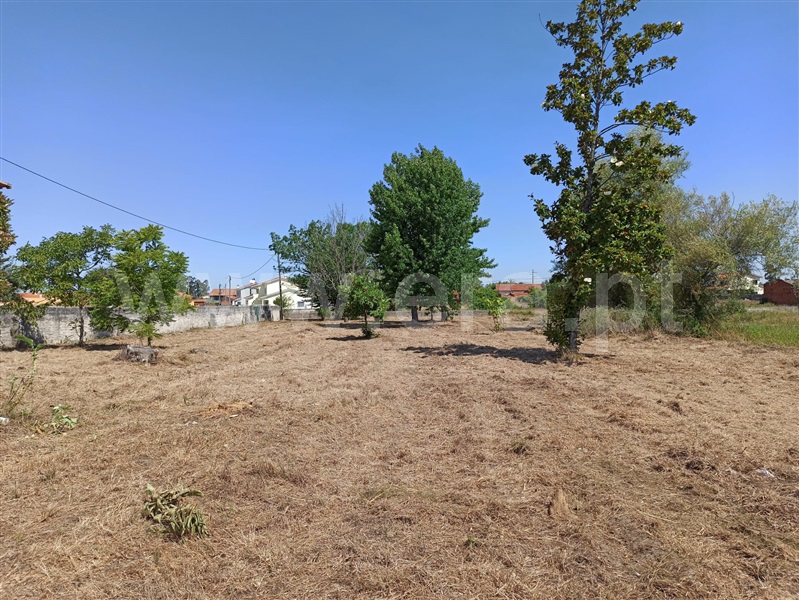 Terreno para Construção / Mira, Mira