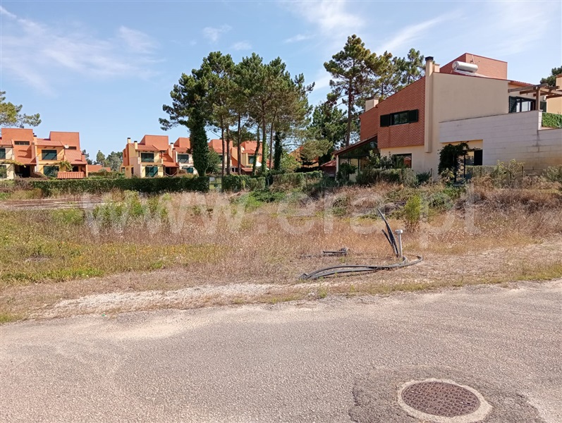 Terreno para Construção / Mira, Mira - Vista 2