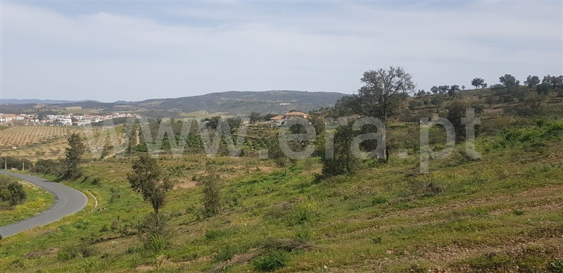 Terreno para Construção / Mirandela, Mirandela