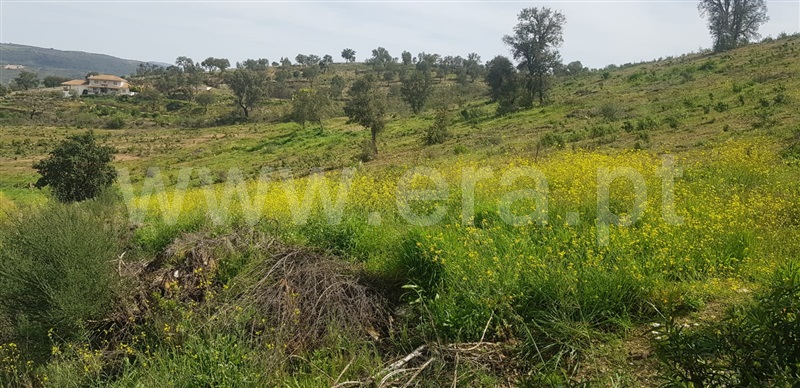 Terreno para Construção  com Rústico Mirandela - 1320428 - 3