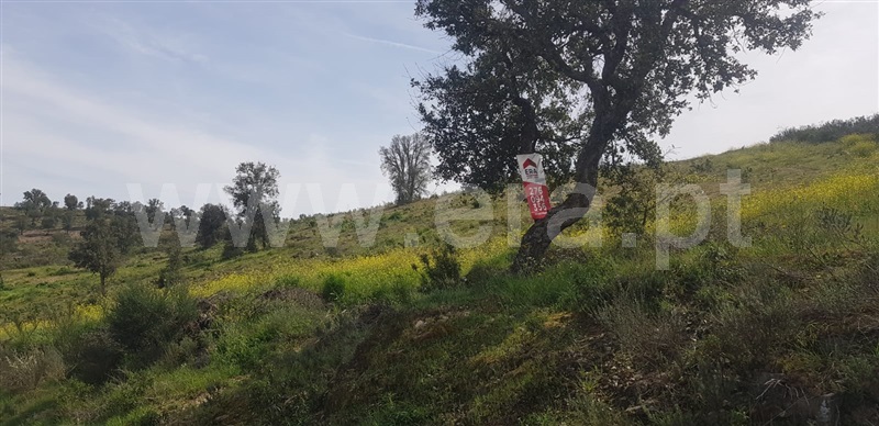 Terreno para Construção  com Rústico Mirandela - 1320428 - 4