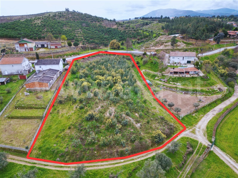 Terreno para Construção / Mirandela, Suçães